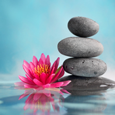 Spa Treatments | Book now Spa Treatments | Book now